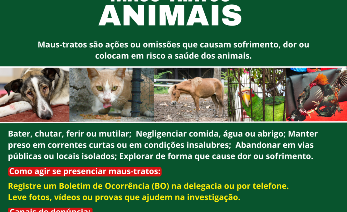 Maus-tratos a animais 