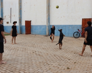 img5563.jpg