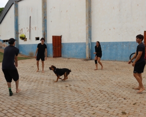 img5565_(671).jpg