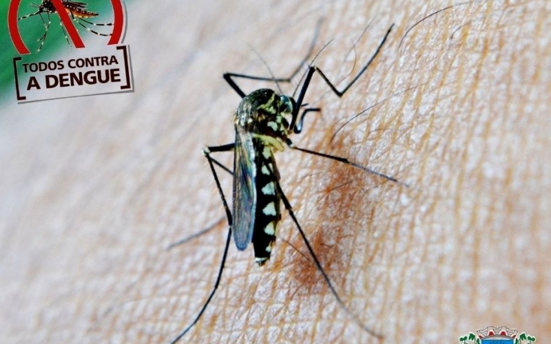 Mariluz no combate a dengue!