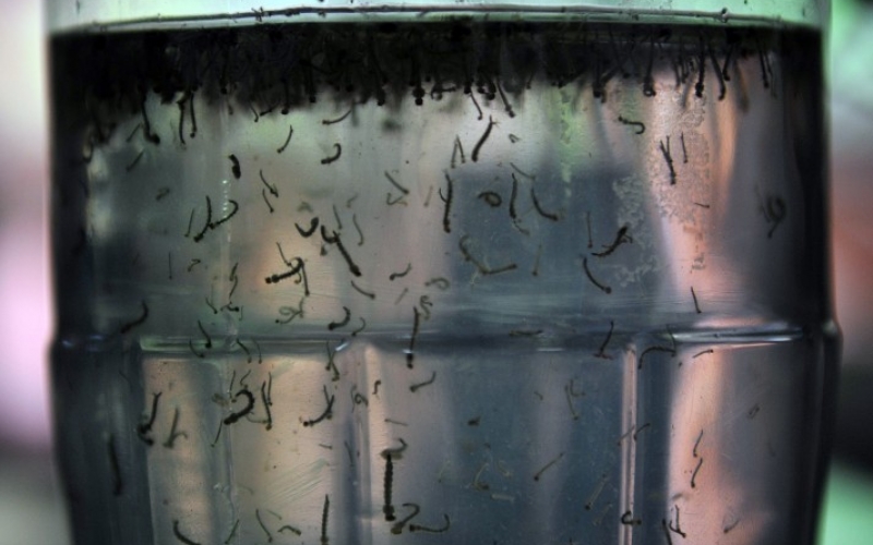 Você sabia que armazenar água da chuva pode colocar sua saúde em risco? 