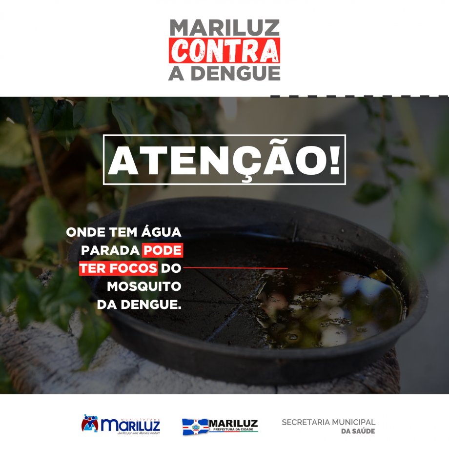  MARILUZ CONTRA A DENGUE! 