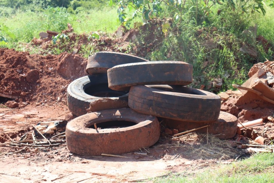 Combate ao Aedes Aegypti 