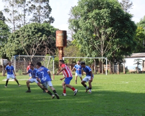 img2859_(800).jpg