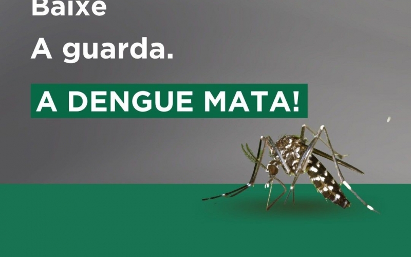 Vamos acabar com o mosquito transmissor da Dengue em nosso município