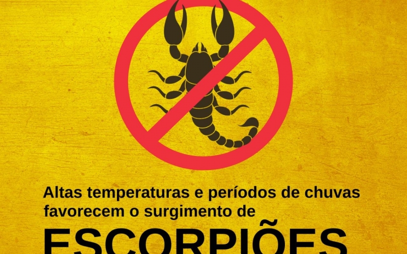 Prevenção contra escorpiões 