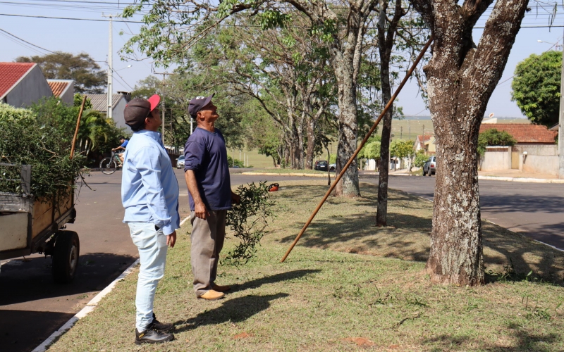 Município de Mariluz está realizando a retirada de plantas hemiparasitas em árvores de Ipês roxo e amarelo