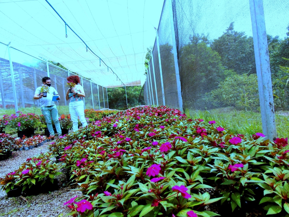 Chefe da Divisão de Meio Ambiente e Vice Prefeita de Mariluz, estão idealizando projeto de florir praças públicas 